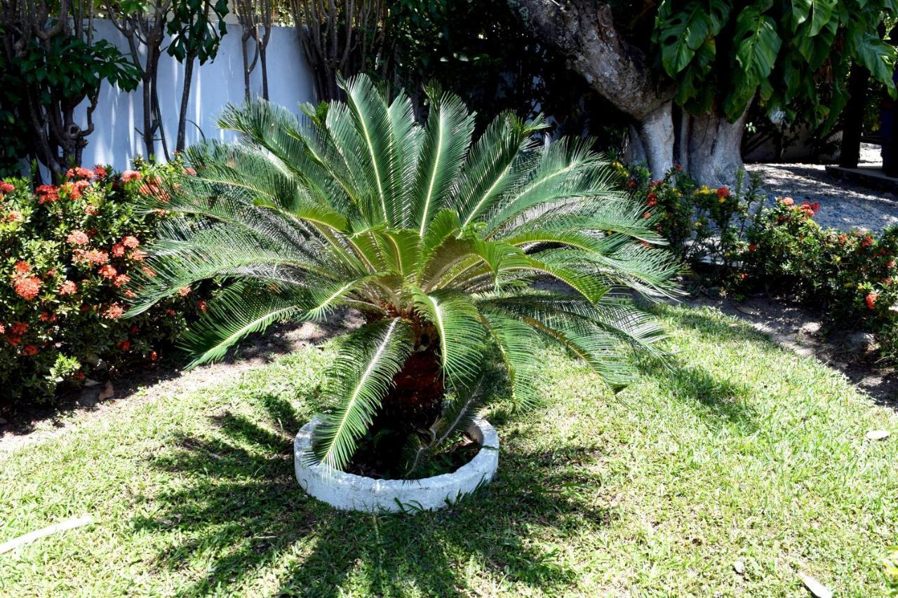Villa Linda Casa No Centro De Porto Com Cozinheira E Piscinas Pôrto das Galinhas Exterior foto